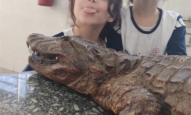 1� Ano - Aula de Ci�ncias