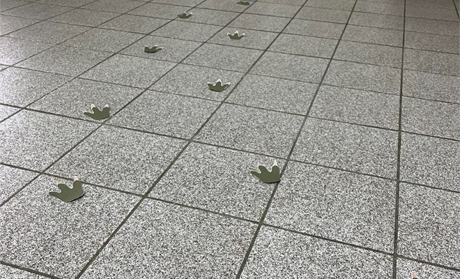 Ed Infantil - Nova Mascote