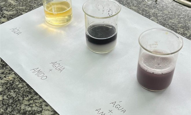 1� s�rie do Ensino M�dio - Laborat�rio