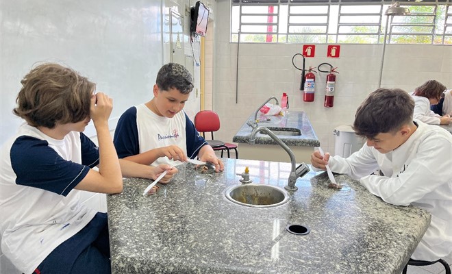 Laborat�rio de Ci�ncias - 8� ano
