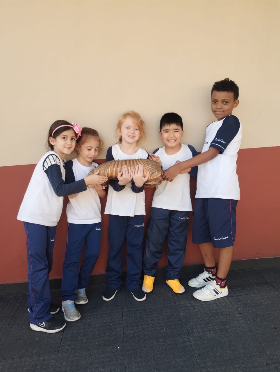 1 Ano - Aula de Cincias Santa Gema