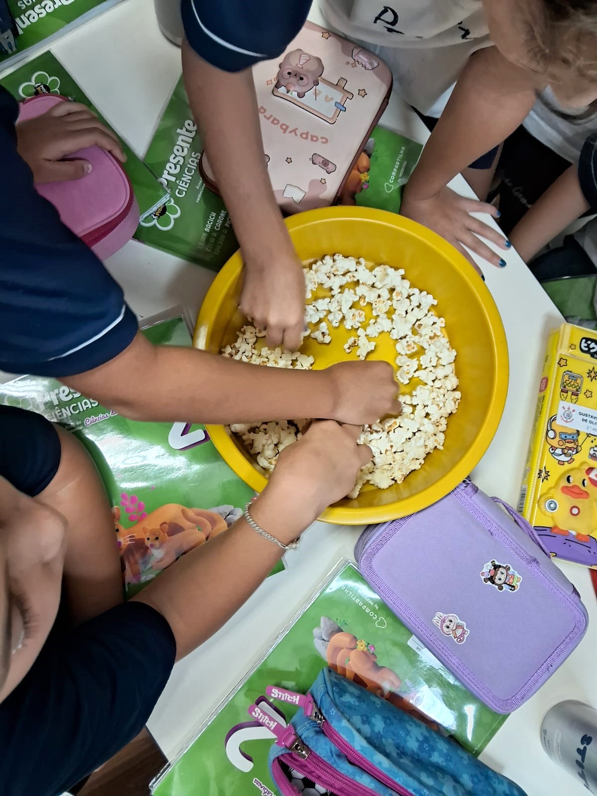 2� ano - Atividade Pr�tica de Ci�ncias Santa Gema