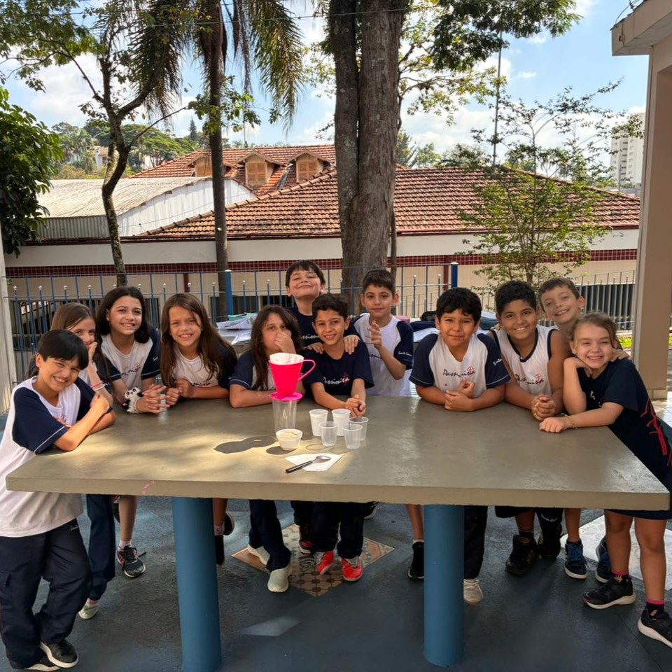 4� ano - Filtra��o e a Decanta��o. Santa Gema