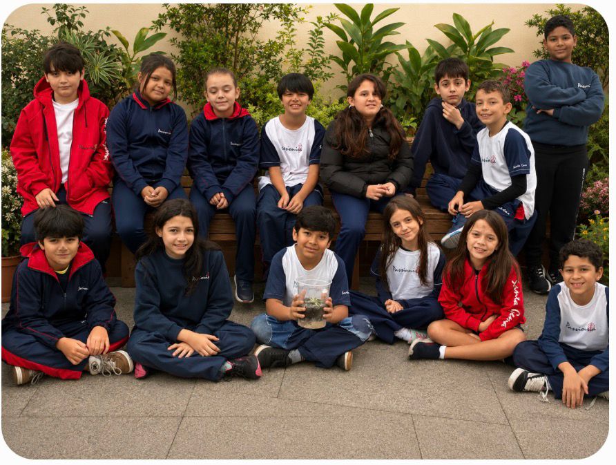 4� ano - Terr�rio Santa Gema